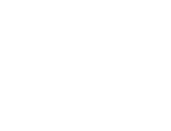 bighorn-logo-white